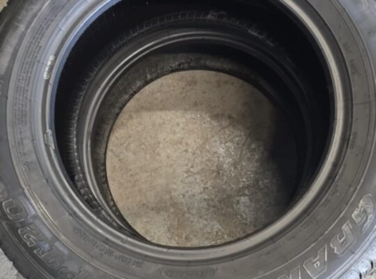 225/65R17 Dunlop