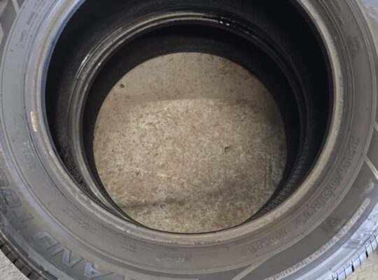 225/65R17 Joy road