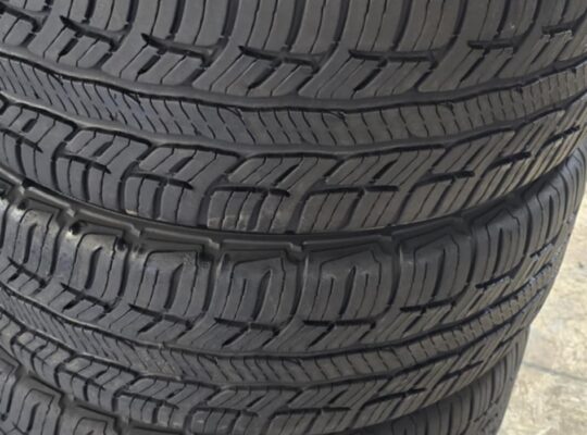 205/55R16 BF Goodrich