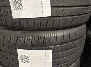 225/50R17 Landspider
