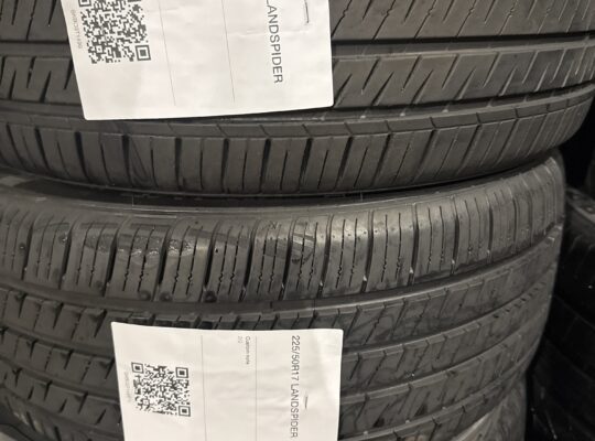 225/50R17 Landspider