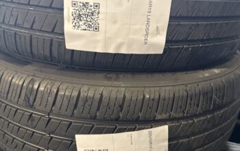 225/55R19 landspider
