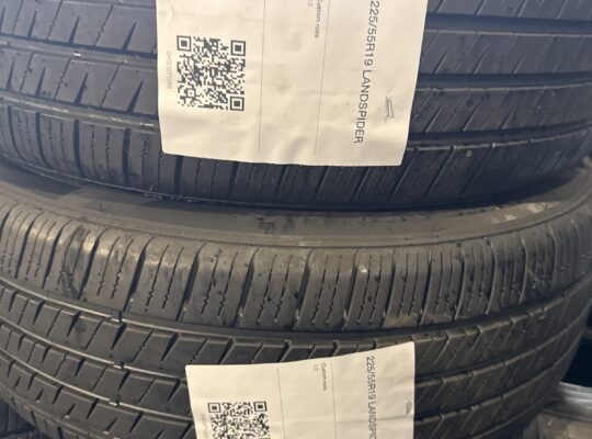 225/55R19 landspider