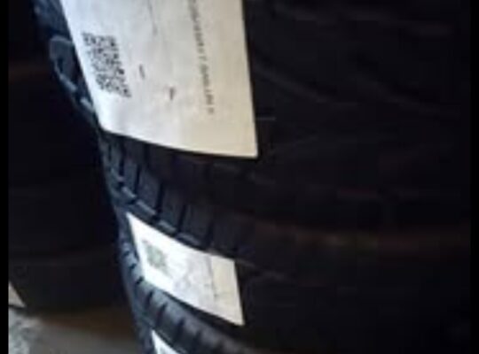 225/45 R17 Saliun Snow Tires