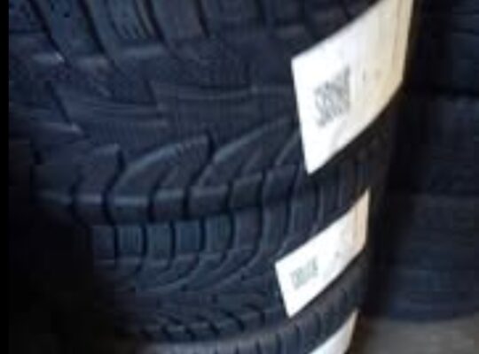 225/45 R17 Saliun Snow Tires