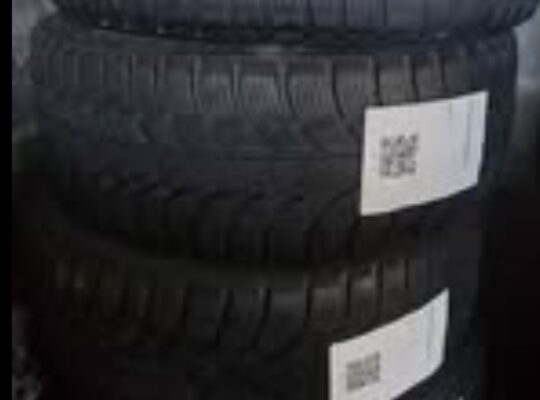 205/55 R16 Eternity Snow Tires