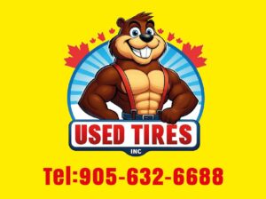 205/55r16 Michelin snow tires