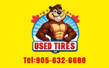 205/55r16 Michelin snow tires